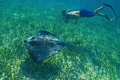   took this shot Canon G11 Housing My camera settings were stop 5.6 shutter speed 125 ISO 200. picture was taken Hol Chan Marine Park San Pedro Belize 56 200  